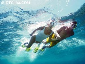 Cozumel. Snorkeling