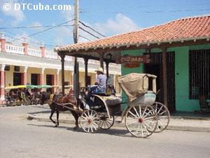 Cochero en la Ciudad de Ciego de Avila