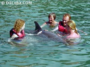 Bahía de Naranjo. Holguín. Baño con delfines.