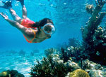 Sea bottom in Cuba.