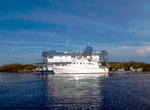 Hotel Tortuga. Diving activities