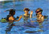 Diving course