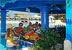 Bar by the pool