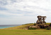 Varadero Golf Club. Stone sculpture