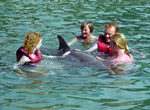 Bahía de Naranjo. Holguín. Baño con delfines.