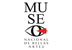 Museum of Fine Arts. Logo
