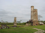 Ruins of coffee farms