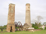 Ruins of coffee farms