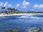 Cancun. Beach