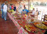 Cayo Saetía. Smorgasbord