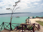 Excursión en bote.