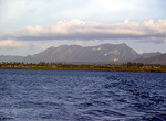 Vista de la costa. Palma Rubia.