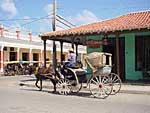 Cochero en la Ciudad de Ciego de Avila