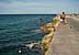 Children taking a swim on Malecón seafront.