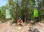 Las Guanas Trail on Esmeralda Beach