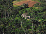 Vista de la campiña