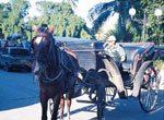 Coche tirado por caballos