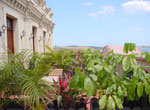 Garden at Armadores de Santander Hotel