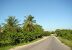 Carretera de Cabañas a Bahía Honda