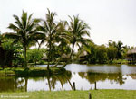 Guamá, Cienaga de Zapata.