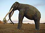 Stone elephant at Valley of Prehistory