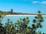 Cayo Ensenachos. Playa.