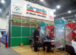 Campeche Stand.
