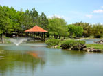 Jardín Japones