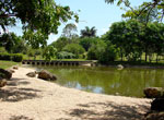 Jardín Japones