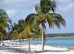 Beach at María La Gorda Villa, Pinar del Río