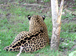 Xcaret. Zoo
